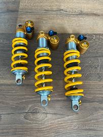 Ammortizzatori ohlins TTX 22 m.2