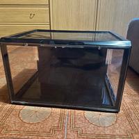 Teca per scarpe Crep Project con led