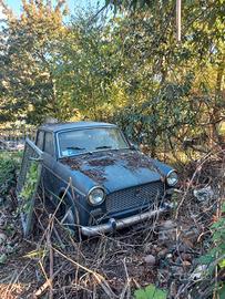 fiat 1100 