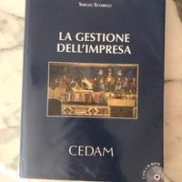 La gestione dell’impresa Sciarelli