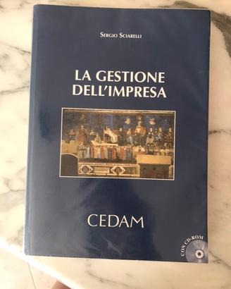 La gestione dell’impresa Sciarelli
