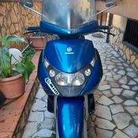 beverly con targa polacca 