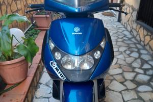 beverly con targa polacca 