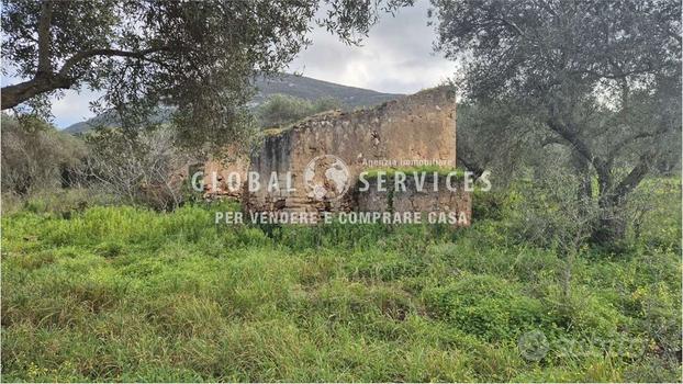 Località Guardia Grande: terreno e rudere