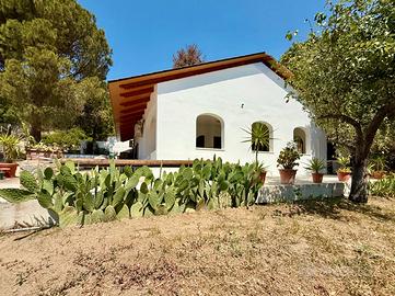 Splendida villa immersa nel verde