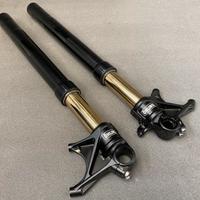 Forcelle ohlins Ducati monster