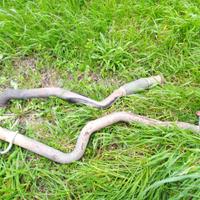 Marmitta alfa 147 jtd