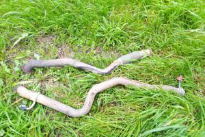 Marmitta alfa 147 jtd