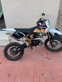 Scoter