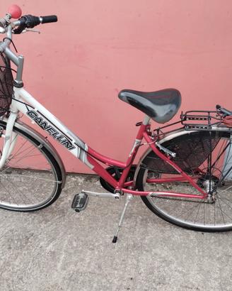 Bicicletta