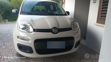 Panda  Metano anno 2015