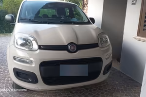 Panda  Metano anno 2015