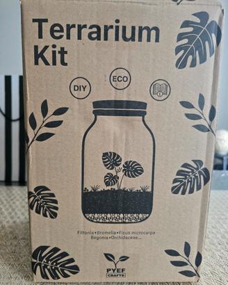 Terrarium kit nuovo per piante