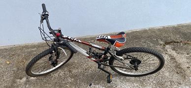 Bicicletta da ragazzo
