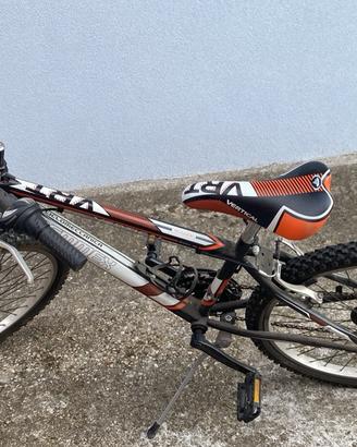 Bicicletta da ragazzo