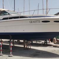 Sea Ray 34 sundancer