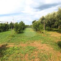 Terreno con casaletto