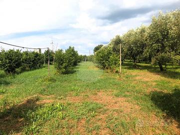 Terreno con casaletto