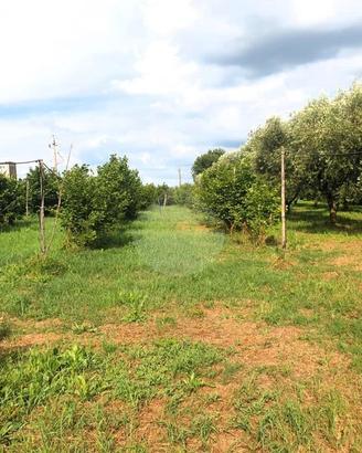 Terreno con casaletto