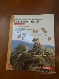 Libri scolastici usati