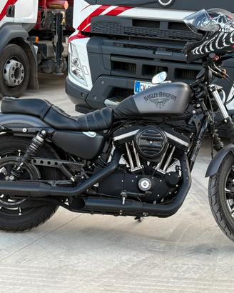 Harley davidson iron 883