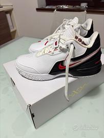 Scarpe da Basket LeBron James 40.5