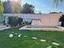 Immagine 25