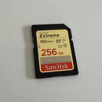 SanDisk Extreme 256GB