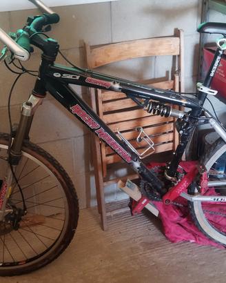 bicicletta Mountain bike