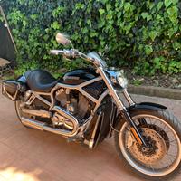 Harley davidson vrod