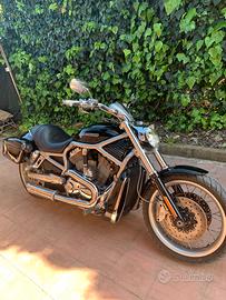 Harley davidson vrod