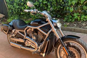 Harley davidson vrod