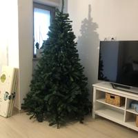 Albero di Natale