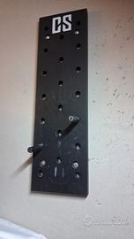 peg board calisthenics 