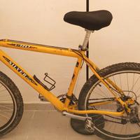 bicicletta 