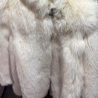 Pelliccia volpe bianca