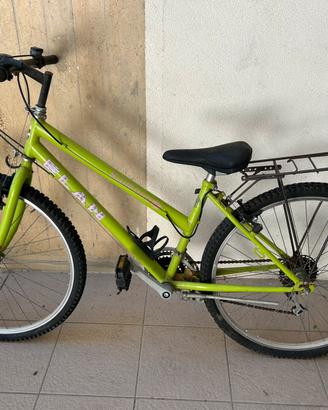 BICI Montan bike ELAN