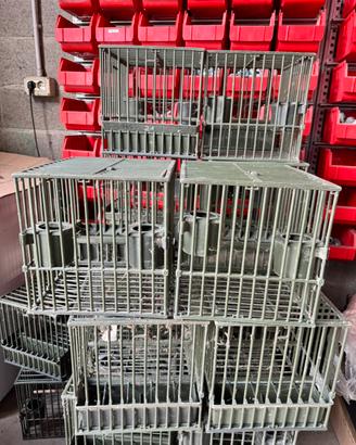 Gabbie per Richiami Vivi