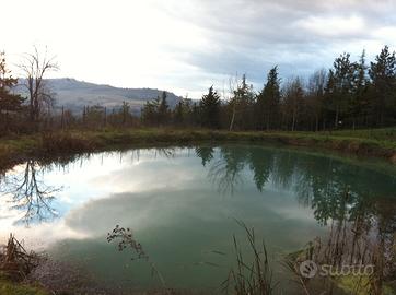Terreno, Lago e Casa da ristrutturare