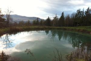 Terreno, Lago e Casa da ristrutturare