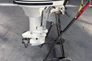 Johnson 15 hp 2 tempi