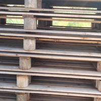 pallet 130x110