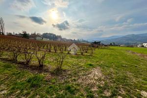 TER. AGRICOLO A BRICHERASIO