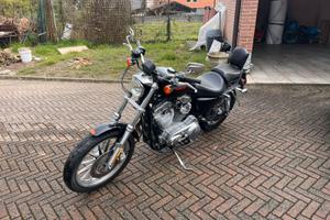 Harley davidson 883