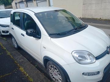 FIAT Panda 3ª serie - 2023