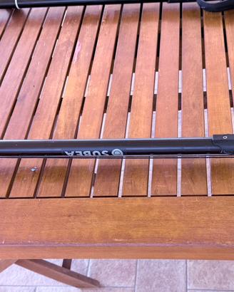 Coppia arbalete pesca sub