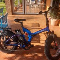 bici elettrica Ebike Argento Bimax XL Plus