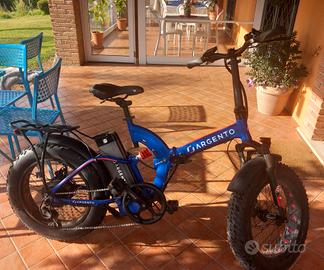 bici elettrica Ebike Argento Bimax XL Plus