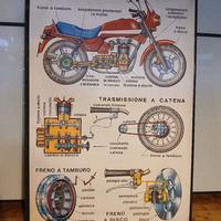 insegna  o poster  scula guida  vitag 