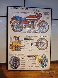 insegna  o poster  scula guida  vitag 